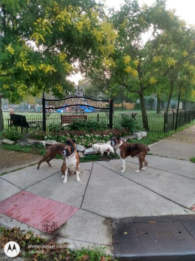 Blommel Park - Dayton, OH