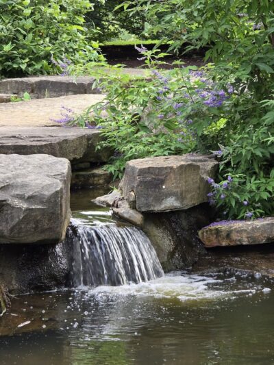 Cox Arboretum MetroPark - Dayton, OH