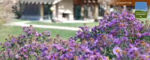 Cox Arboretum MetroPark - Dayton, OH