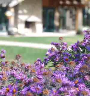 Cox Arboretum MetroPark - Dayton, OH