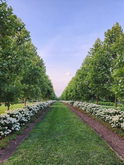 Cox Arboretum MetroPark - Dayton, OH