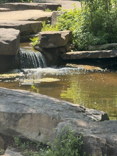 Cox Arboretum MetroPark Picnic Area - Dayton, OH