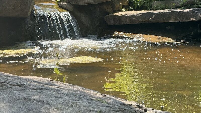 Cox Arboretum MetroPark Picnic Area - Dayton, OH