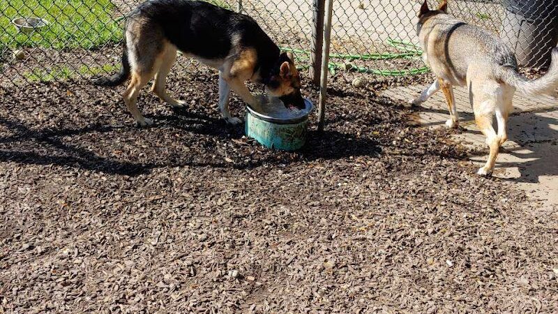 Creager Field Dog Park - Dayton, OH