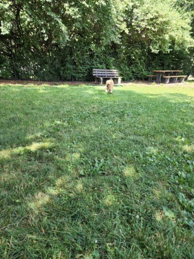 Creager Field Dog Park - Dayton, OH