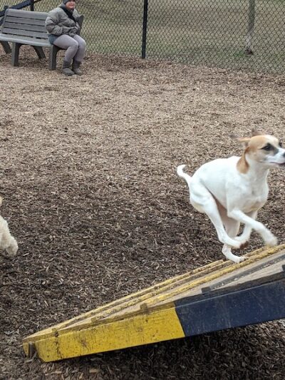 Creager Field Dog Park - Dayton, OH