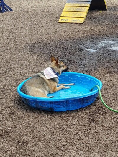 Creager Field Dog Park - Dayton, OH