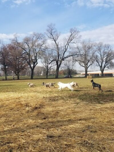 Deeds Point Dog Park - Dayton, OH