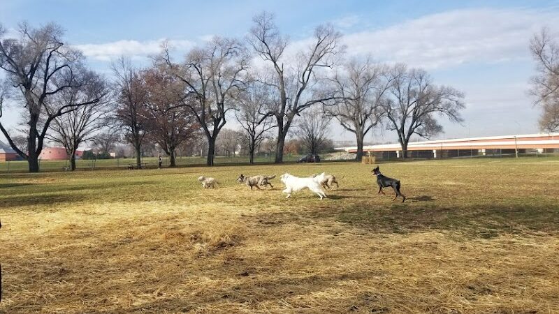Deeds Point Dog Park - Dayton, OH