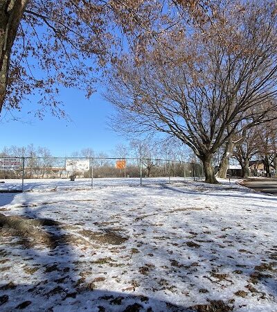 Deeds Point Dog Park - Dayton, OH