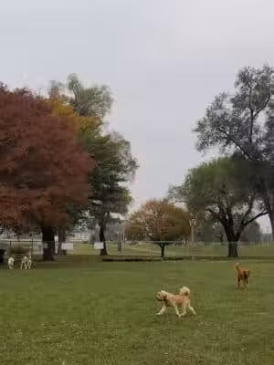 Deeds Point Dog Park - Dayton, OH