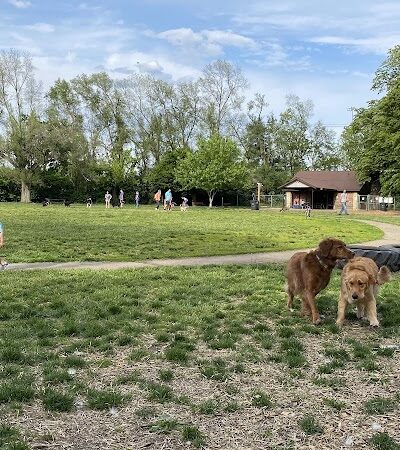 Deeds Point Dog Park - Dayton, OH