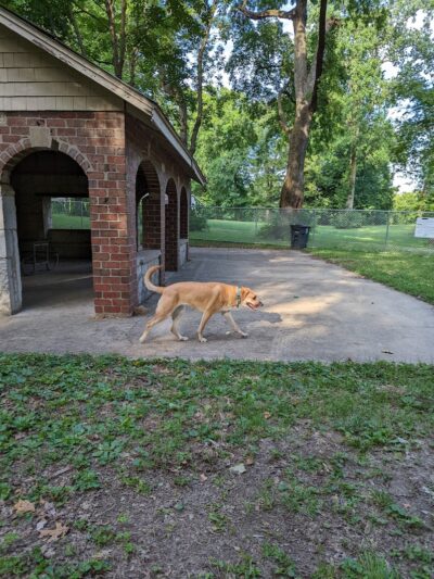 Deeds Point Dog Park - Dayton, OH