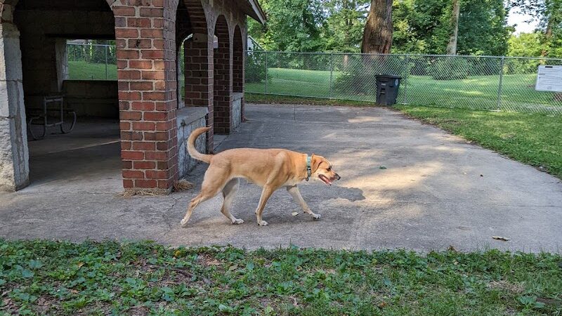 Deeds Point Dog Park - Dayton, OH