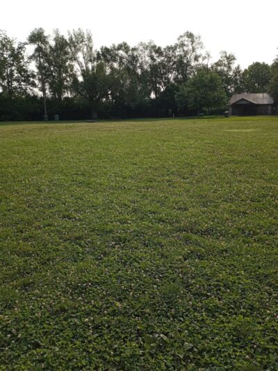 Deeds Point Dog Park - Dayton, OH