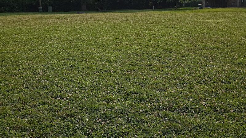 Deeds Point Dog Park - Dayton, OH