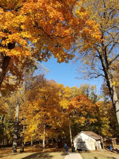 Deeds Point Dog Park - Dayton, OH