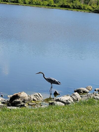 Delco Park - Dayton, OH