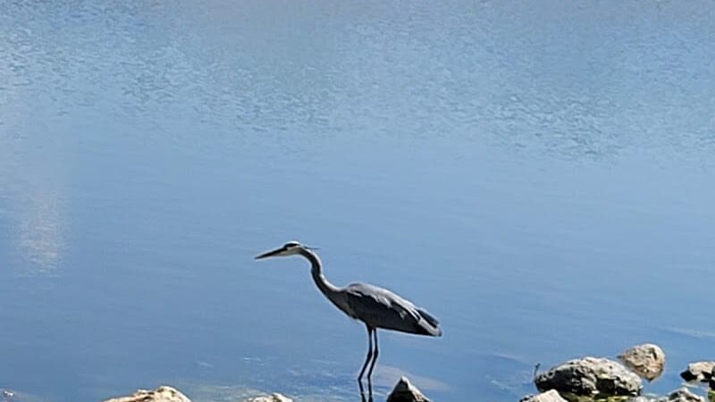 Delco Park - Dayton, OH