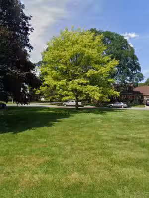 Delta Park - Dayton, OH