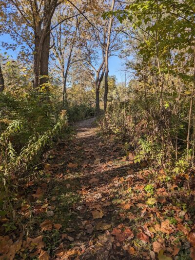 Donnybrook Park - Dayton, OH