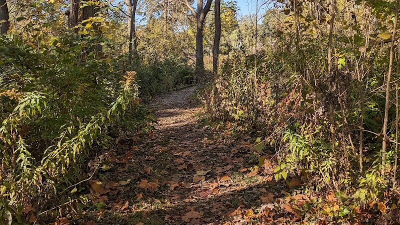 Donnybrook Park - Dayton, OH