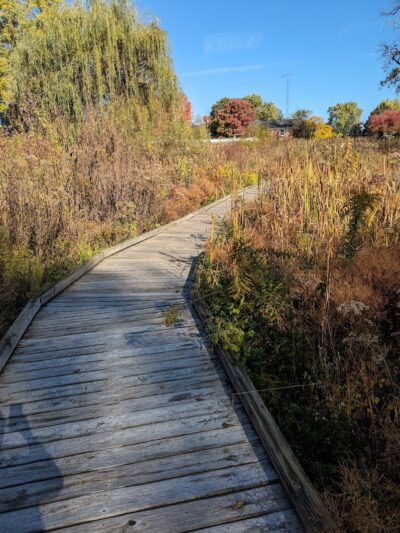 Donnybrook Park - Dayton, OH