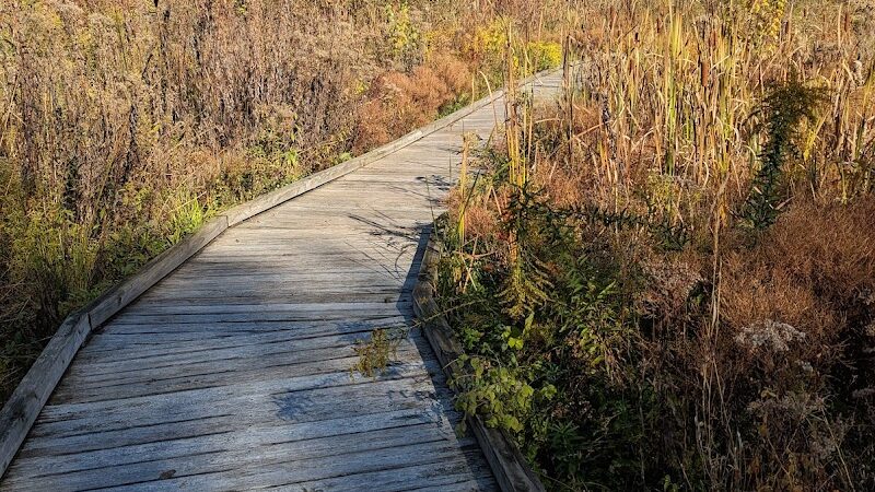 Donnybrook Park - Dayton, OH