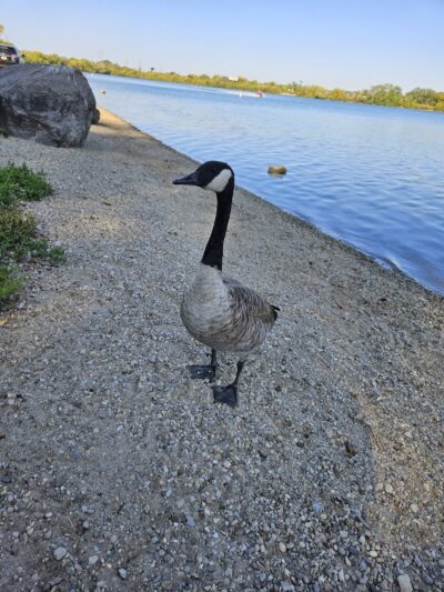 Eastwood MetroPark Lake Entrance - Dayton, OH