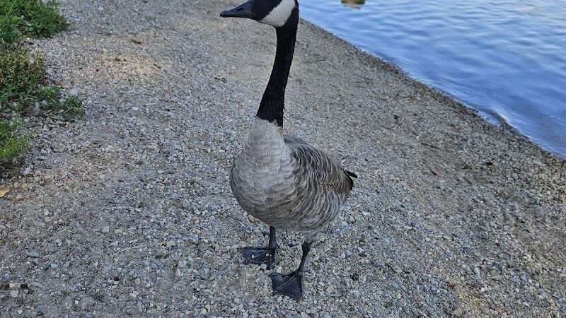 Eastwood MetroPark Lake Entrance - Dayton, OH