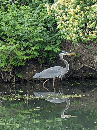 Eastwood MetroPark Lake Entrance - Dayton, OH