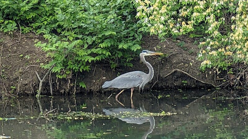 Eastwood MetroPark Lake Entrance - Dayton, OH