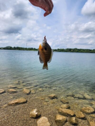 Eastwood MetroPark Lake Entrance - Dayton, OH