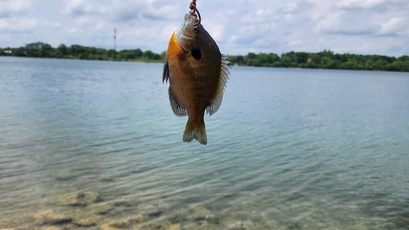 Eastwood MetroPark Lake Entrance - Dayton, OH