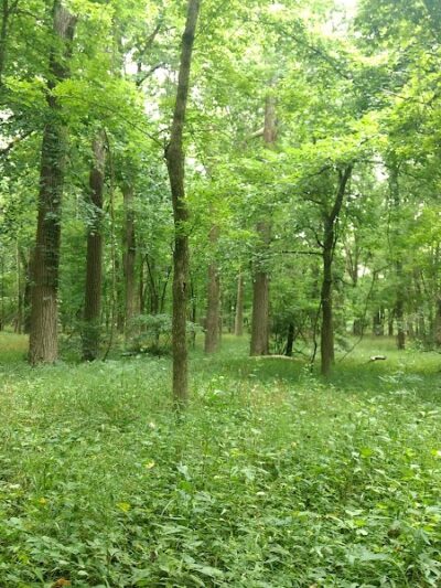 Englewood MetroPark - Dayton, OH