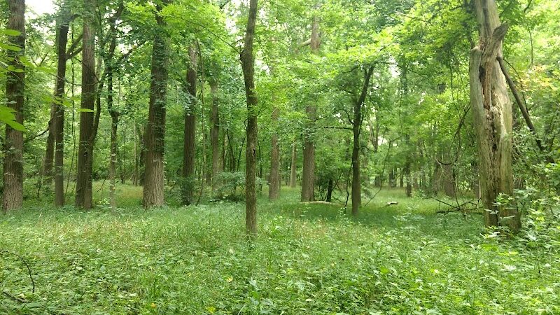 Englewood MetroPark - Dayton, OH