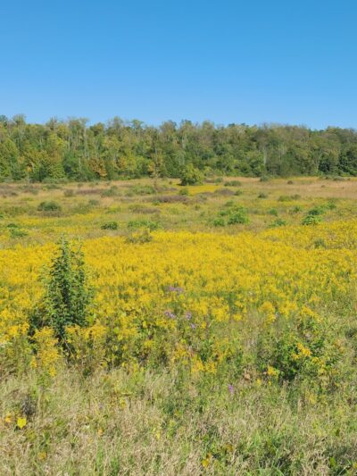 Englewood MetroPark South Park - Dayton, OH