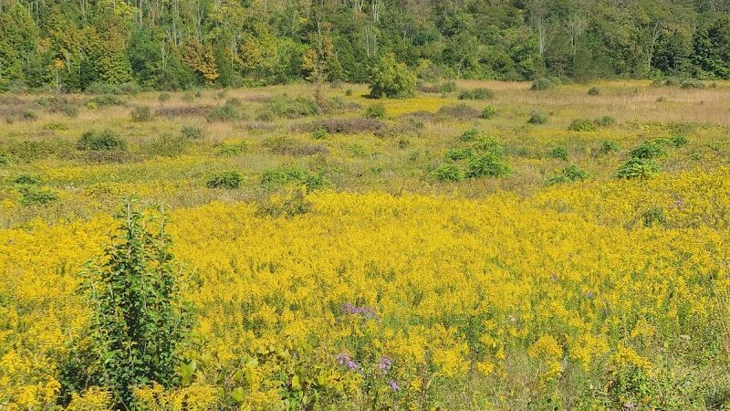 Englewood MetroPark South Park - Dayton, OH