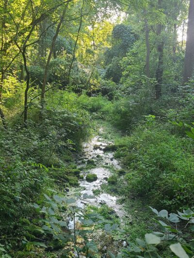 Englewood MetroPark South Park - Dayton, OH