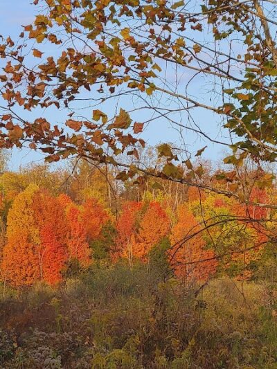 Englewood MetroPark South Park - Dayton, OH