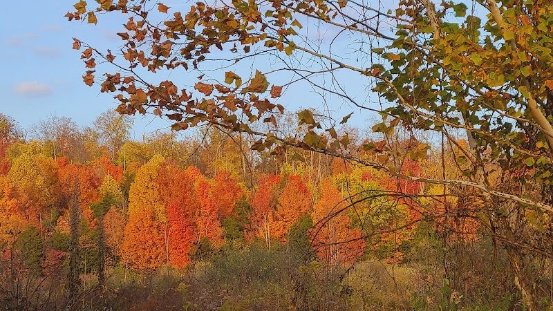 Englewood MetroPark South Park - Dayton, OH