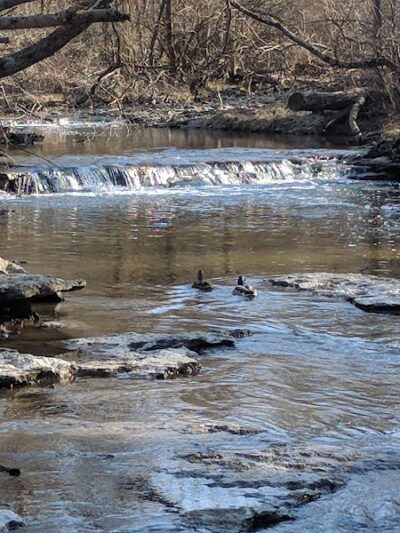 Grant Park - Dayton, OH