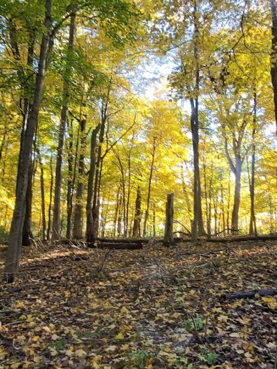 Grant Park - Dayton, OH