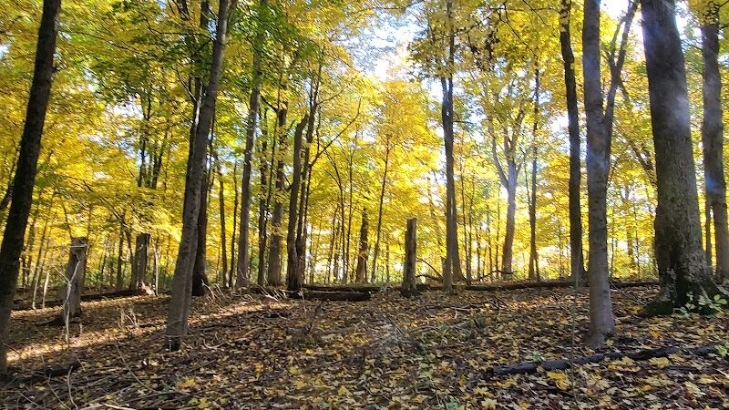 Grant Park - Dayton, OH