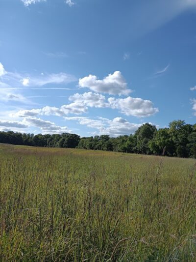 Grant Park - Dayton, OH