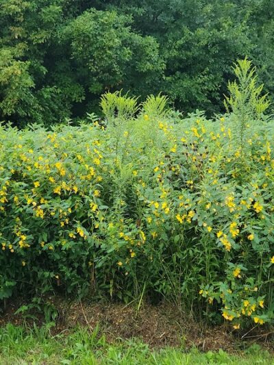 Holes Creek Park - Dayton, OH