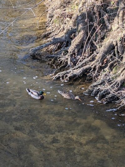 Holes Creek Park - Dayton, OH