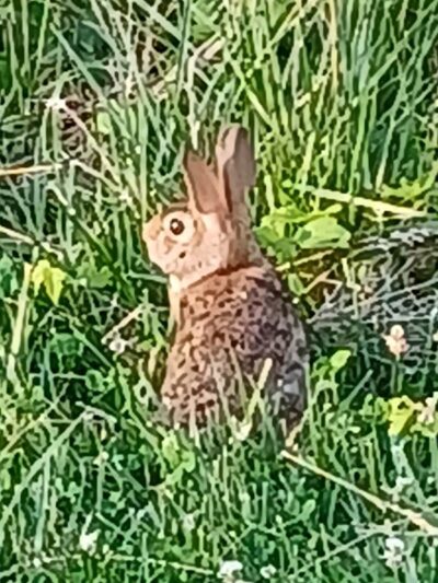 Holes Creek Park - Dayton, OH