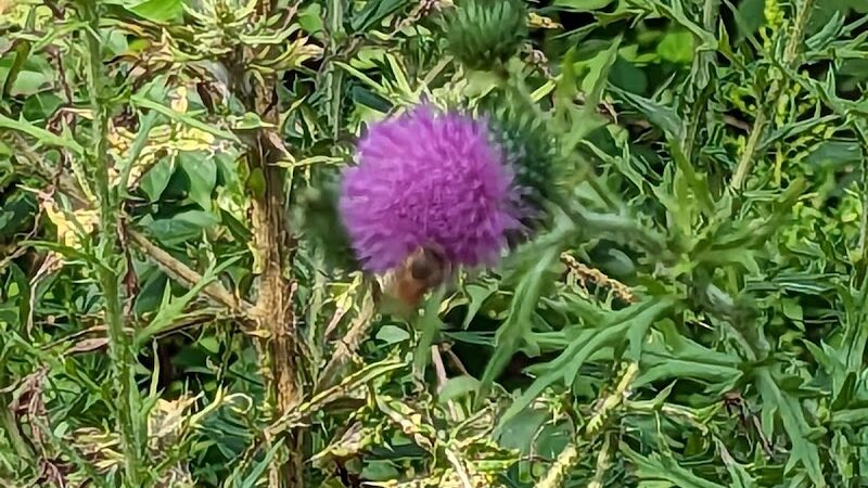 Holes Creek Park - Dayton, OH