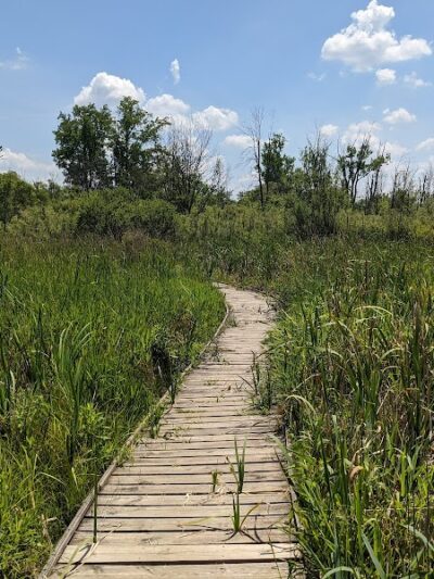 Koogler Wetland Prairie Reserve - Dayton, OH